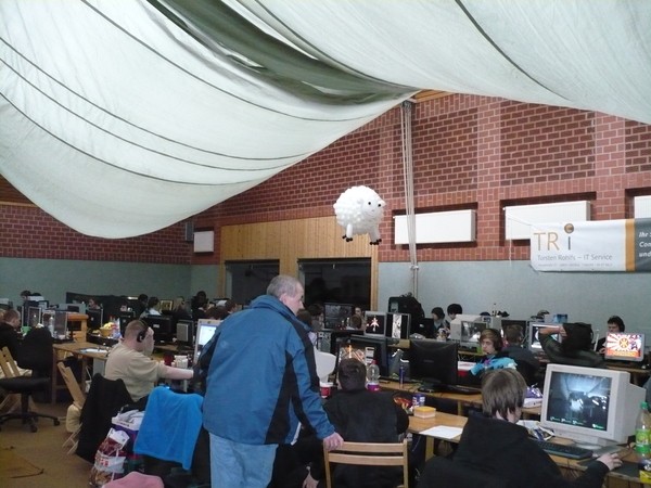Galerie-Bild